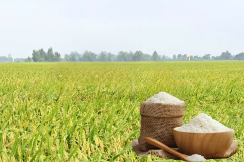 <a href="/chuyen-dong-kinh-te" title="Chuyển động kinh tế" rel="dofollow">Chuyển động kinh tế</a>