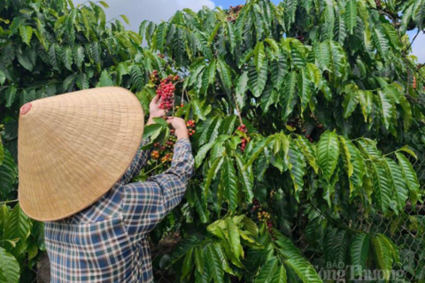 <a href="/chuyen-dong-kinh-te" title="Chuyển động kinh tế" rel="dofollow">Chuyển động kinh tế</a>