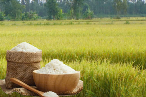 <a href="/chuyen-dong-kinh-te" title="Chuyển động kinh tế" rel="dofollow">Chuyển động kinh tế</a>