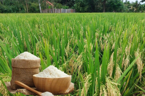 <a href="/chuyen-dong-kinh-te" title="Chuyển động kinh tế" rel="dofollow">Chuyển động kinh tế</a>