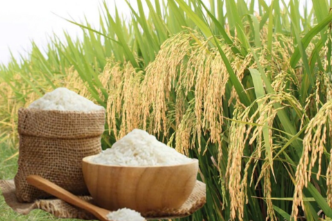 <a href="/chuyen-dong-kinh-te" title="Chuyển động kinh tế" rel="dofollow">Chuyển động kinh tế</a>