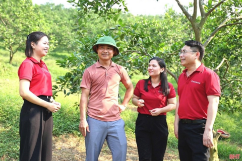 <a href="/tai-chinh" title="Tài chính" rel="dofollow">Tài chính</a>