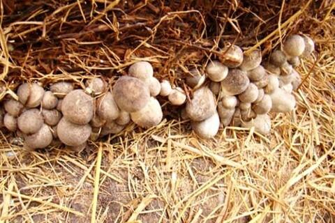 <a href="/chuyen-dong-kinh-te" title="Chuyển động kinh tế" rel="dofollow">Chuyển động kinh tế</a>
