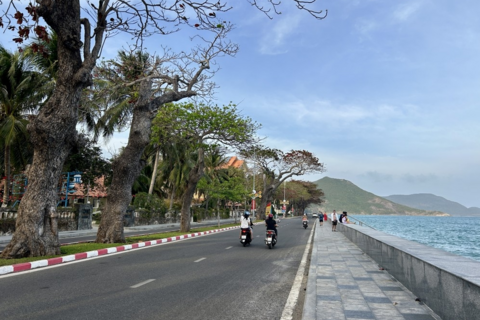 TP. Hồ Chí Minh sẽ chuyển đổi toàn bộ phương tiện sang xe điện vào năm 2040
