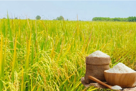 <a href="/chuyen-dong-kinh-te" title="Chuyển động kinh tế" rel="dofollow">Chuyển động kinh tế</a>