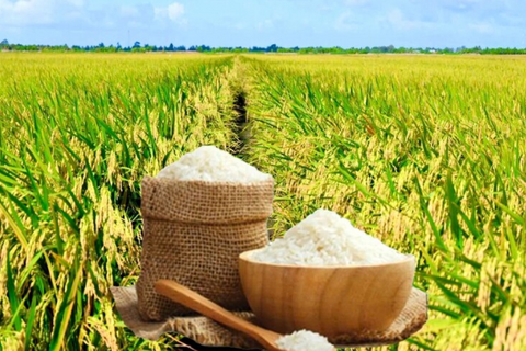 <a href="/chuyen-dong-kinh-te" title="Chuyển động kinh tế" rel="dofollow">Chuyển động kinh tế</a>