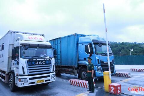Cập nhật tin xuất nhập khẩu qua các cửa khẩu Lạng Sơn ngày 25/6/2026