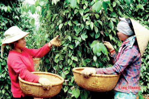 <a href="/chuyen-dong-kinh-te" title="Chuyển động kinh tế" rel="dofollow">Chuyển động kinh tế</a>