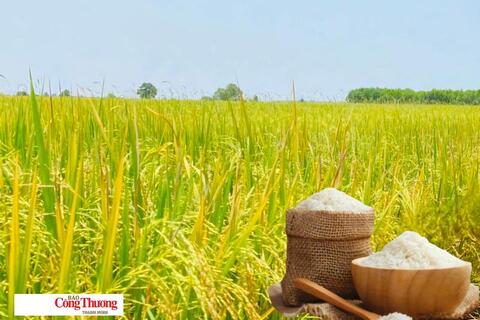 <a href="/chuyen-dong-kinh-te" title="Chuyển động kinh tế" rel="dofollow">Chuyển động kinh tế</a>