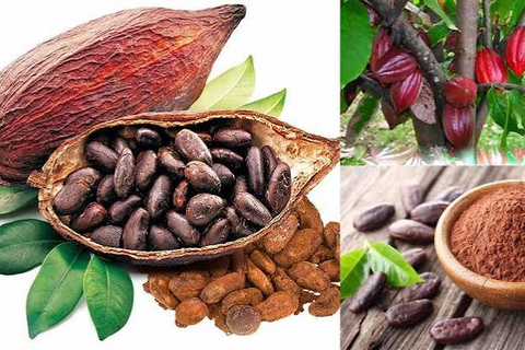 <a href="/chuyen-dong-kinh-te" title="Chuyển động kinh tế" rel="dofollow">Chuyển động kinh tế</a>