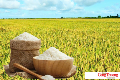 <a href="/chuyen-dong-kinh-te" title="Chuyển động kinh tế" rel="dofollow">Chuyển động kinh tế</a>
