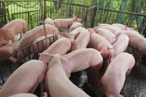 <a href="/chuyen-dong-kinh-te" title="Chuyển động kinh tế" rel="dofollow">Chuyển động kinh tế</a>