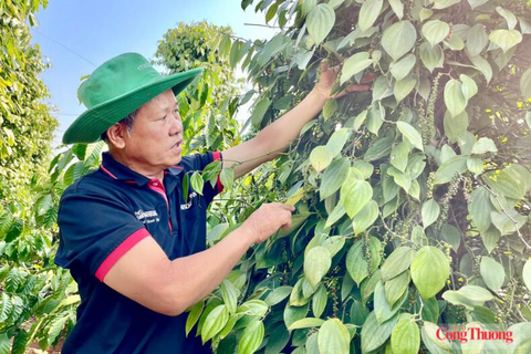 <a href="/chuyen-dong-kinh-te" title="Chuyển động kinh tế" rel="dofollow">Chuyển động kinh tế</a>