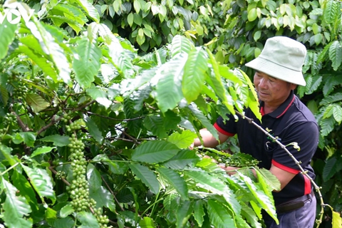 <a href="/chuyen-dong-kinh-te" title="Chuyển động kinh tế" rel="dofollow">Chuyển động kinh tế</a>