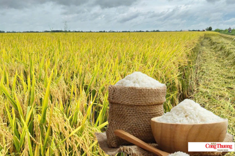 <a href="/chuyen-dong-kinh-te" title="Chuyển động kinh tế" rel="dofollow">Chuyển động kinh tế</a>