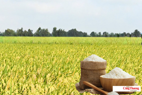 <a href="/chuyen-dong-kinh-te" title="Chuyển động kinh tế" rel="dofollow">Chuyển động kinh tế</a>