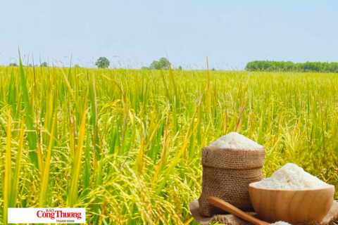 <a href="/chuyen-dong-kinh-te" title="Chuyển động kinh tế" rel="dofollow">Chuyển động kinh tế</a>