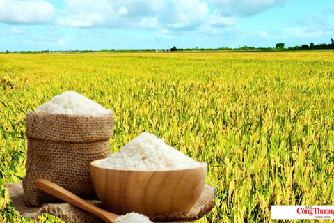 <a href="/chuyen-dong-kinh-te" title="Chuyển động kinh tế" rel="dofollow">Chuyển động kinh tế</a>