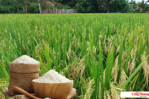 <a href="/chuyen-dong-kinh-te" title="Chuyển động kinh tế" rel="dofollow">Chuyển động kinh tế</a>