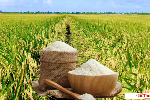 <a href="/chuyen-dong-kinh-te" title="Chuyển động kinh tế" rel="dofollow">Chuyển động kinh tế</a>
