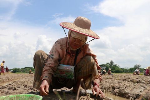 <a href="/thoi-su" title="Thời sự" rel="dofollow">Thời sự</a>