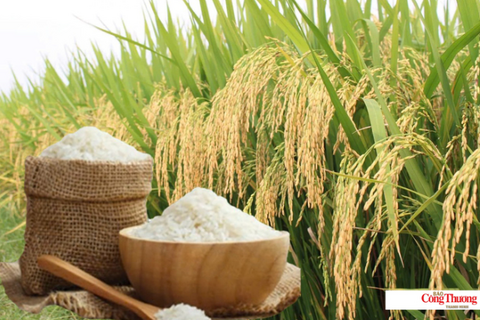 <a href="/chuyen-dong-kinh-te" title="Chuyển động kinh tế" rel="dofollow">Chuyển động kinh tế</a>