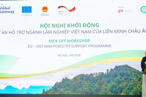 Việt Nam phối hợp với EU và Đức khởi động dự án hỗ trợ ngành Lâm nghiệp