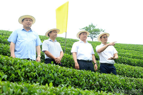 <a href="/thoi-su" title="Thời sự" rel="dofollow">Thời sự</a>