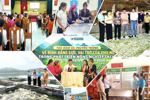 <a href="/tai-chinh" title="Tài chính" rel="dofollow">Tài chính</a>