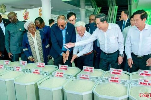 Việt Nam - Bờ Biển Ngà mở rộng kết nối, nâng cơ hội xuất khẩu