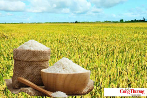 <a href="/chuyen-dong-kinh-te" title="Chuyển động kinh tế" rel="dofollow">Chuyển động kinh tế</a>