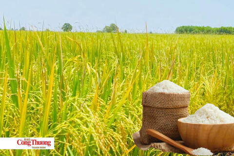 <a href="/chuyen-dong-kinh-te" title="Chuyển động kinh tế" rel="dofollow">Chuyển động kinh tế</a>
