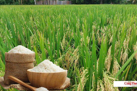 <a href="/chuyen-dong-kinh-te" title="Chuyển động kinh tế" rel="dofollow">Chuyển động kinh tế</a>