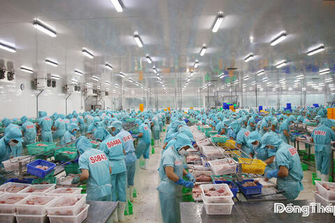 <a href="/thoi-su" title="Thời sự" rel="dofollow">Thời sự</a>