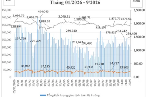 Thị trường chứng khoán phái sinh tháng 9/2026: VN30 giảm 4,27%, VN100 tăng 3,9 lần