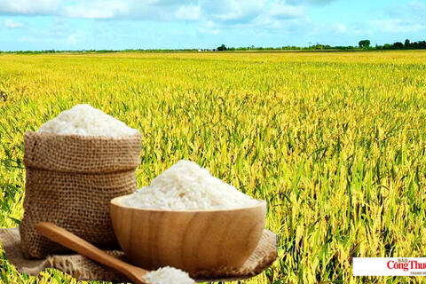 <a href="/chuyen-dong-kinh-te" title="Chuyển động kinh tế" rel="dofollow">Chuyển động kinh tế</a>