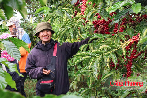 <a href="/chuyen-dong-kinh-te" title="Chuyển động kinh tế" rel="dofollow">Chuyển động kinh tế</a>