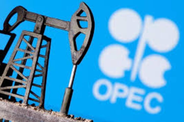 Giá xăng dầu hôm nay 25/03/2025: OPEC+ tiếp tục tăng sản lượng