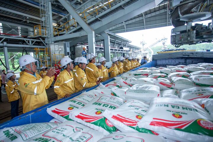 Phân bón Cà Mau xuất khẩu thành công lô hàng đầu tiên sang Mỹ