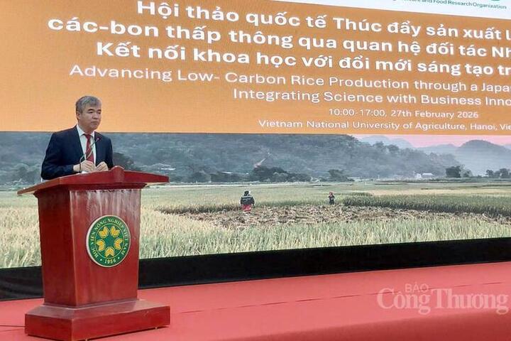 Nhật Bản - Việt Nam: Thúc đẩy hợp tác phát triển lúa phát thải thấp