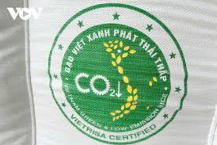 Gạo phát thải thấp: 'Tấm vé xanh' cho xuất khẩu bền vững