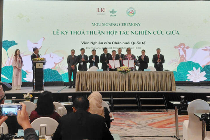 'Xanh hóa' chăn nuôi: Điều kiện mới để tham gia chuỗi giá trị toàn cầu