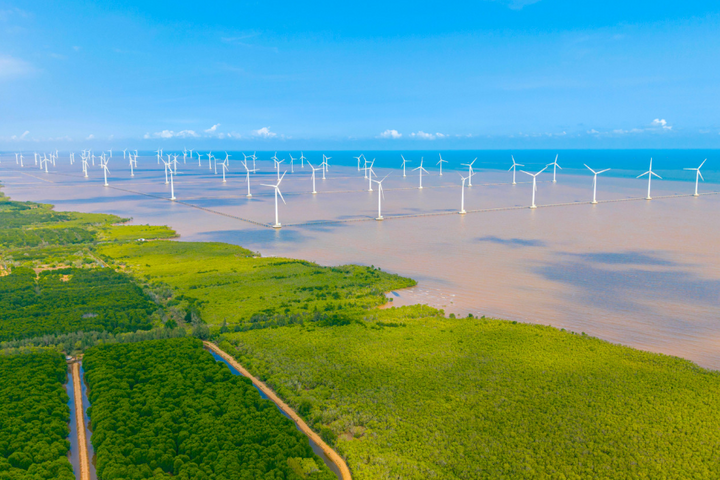 Chuyển dịch năng lượng: Khi công nghệ trở thành chìa khóa của Net Zero