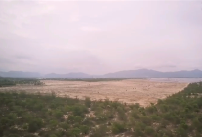 Bất thường trong báo cáo vụ phá 5,26 ha rừng phòng hộ ven biển Bình Định - Ảnh 4. Bất thường trong báo cáo vụ phá 5,26 ha rừng phòng hộ ven biển Bình Định - Ảnh 4.
