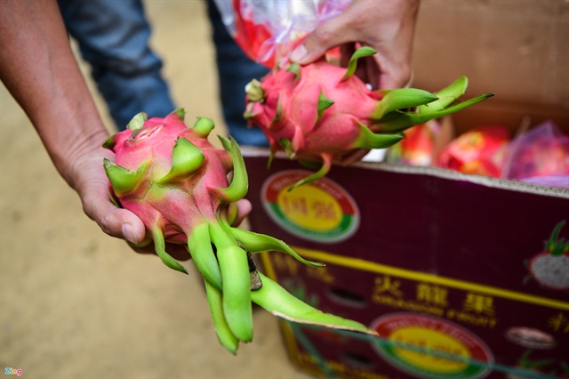 giải cứu nông sản ảnh 3