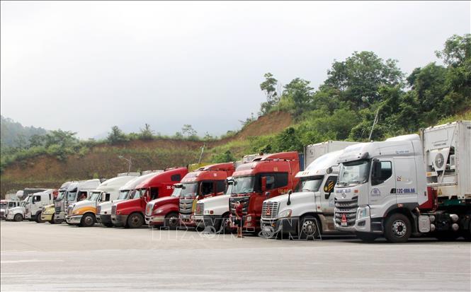 Lạng Sơn tạm dừng tiếp nhận phương tiện chở hoa quả tươi xuất khẩu Chú thích ảnh