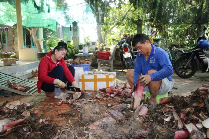 Khởi nghiệp từ chuối, tre - Ảnh 3.