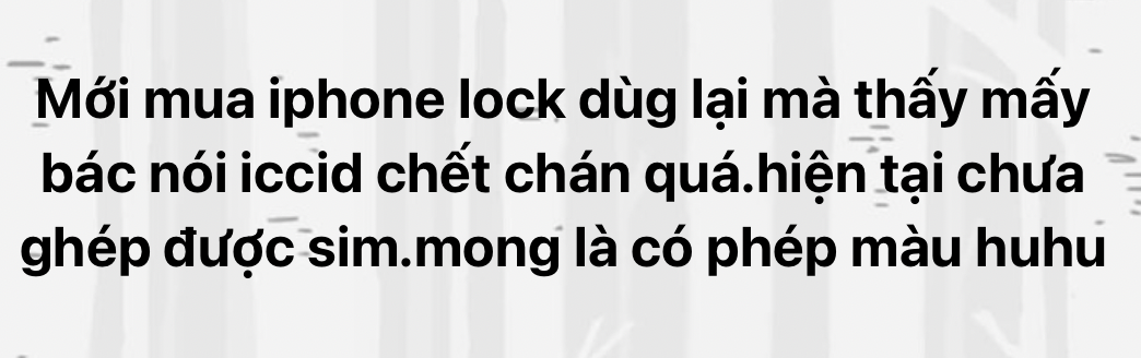 Mã ICCID chết khiến iPhone Lock tại Việt Nam "đắp chiếu" - Ảnh 2.