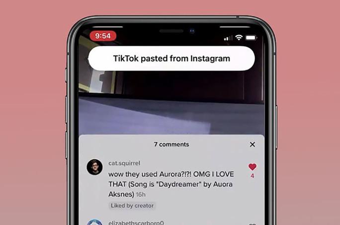 Tik Tok tự động thu thập dữ liệu người dùng, liệu có đáng lo? - Ảnh 1.