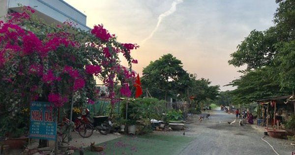 Giải cứu đất nông nghiệp mua bán giấy tay - Ảnh 1.